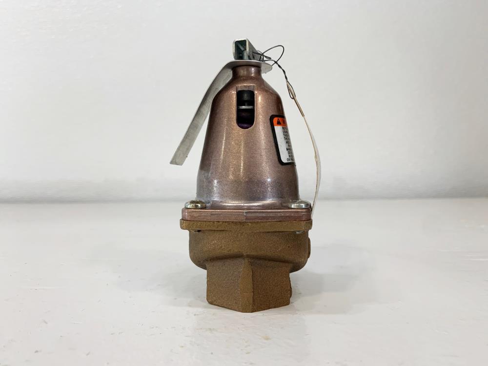 ITT Bell and Gossett 1" NPT 125# Bronze Relief Valve 1170-125, 110135